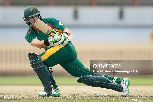 Tim Paine of Tasmania bats during the Matador BBQs One Day Cup match between Tasmania and Victoria at North Sydney Oval on October 20, 2015 in...