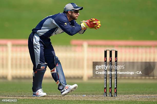 Matthew Wade of Victoria catches the ball during the Matador BBQs One Day Cup match between Tasmania and Victoria at North Sydney Oval on October 20,...