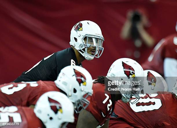 Logan Thomas of the Arizona Cardinals gets ready to take the snap from under center during a Rookie Minicamp practice on May 23, 2014 in Tempe,...