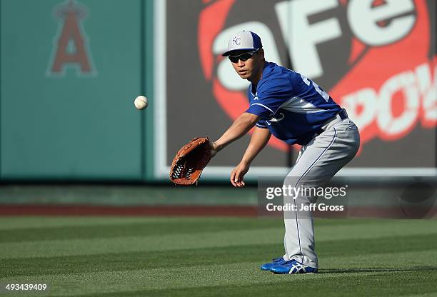 Norichika Aoki of the Kansas City Royals warms up in the outfield during batting practice prior to the start of the game against the Los Angeles...