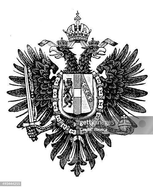 antique illustration of austrian eagle - austrian culture stock illustrations