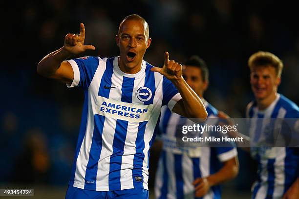 Bobby Zamora of Brighton celebrates after scoring during the Sky Bet Championship match between Brighton & Hove Albion and Bristol City at Amex...