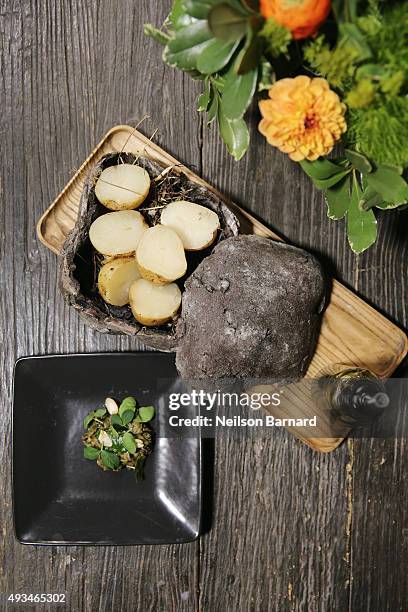 General view of Blue Hill at Stone Barns' Cornell Dropout Potato Stamppot, compost crust, cover crop condiments at The New York Times Food For...