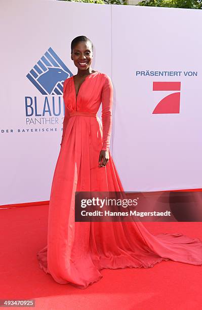 Nikeata Thompson attends the 'Bayerischer Fernsehpreis 2014' at Prinzregententheater on May 23, 2014 in Munich, Germany.