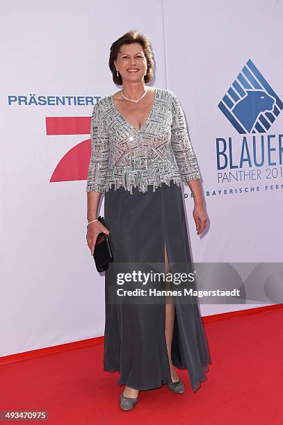 Ilse Aigner attends the 'Bayerischer Fernsehpreis 2014' at Prinzregententheater on May 23, 2014 in Munich, Germany.