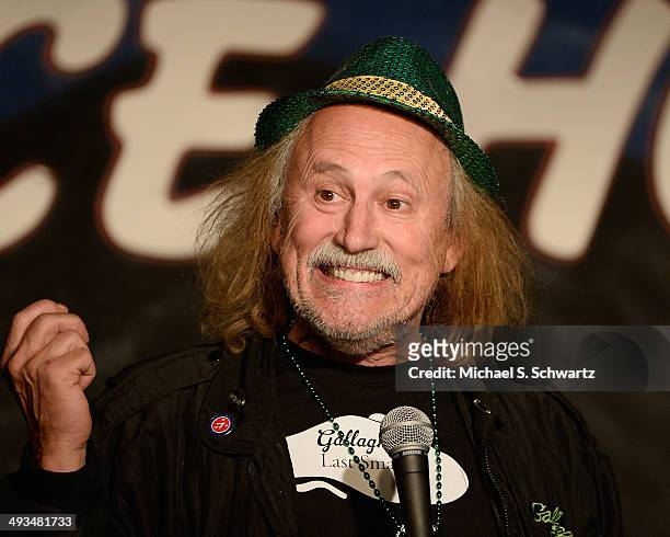 Comedian Gallagher performs during his appearance at The Ice House Comedy Club on May 23, 2014 in Pasadena, California.