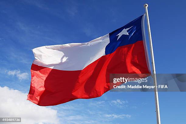 Talca Flag Maule Chile Photos and Premium High Res Pictures - Getty Images