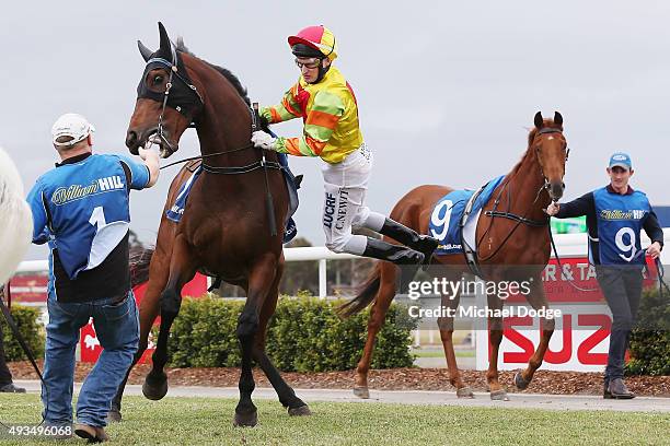 Jockey Craig Newitt is bucked off Kingdom Of Dreams before race 5 during Geelong Cup Day at Geelong Racecourse on October 21, 2015 in Melbourne,...