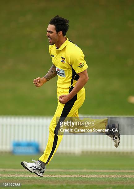 Mitchell Johnson of Western Australia celebrates taking the wicket of Peter Forrest of Queensland during the Matador BBQs One Day Cup match between...