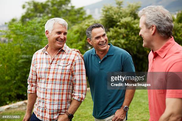 happy mature friends enjoying in park - only men stock pictures, royalty-free photos & images