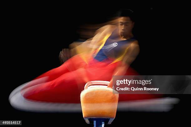 Christopher Rem of South Australia competes on the Pommel Horse during the Australian National Gymnastics Championships at Hisense Arena on May 24,...