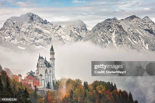 castillo de neuschwanstein - neuschwanstein castle fotografías e imágenes de stock