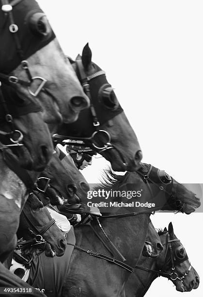 Jockey Jye McNeil guides Flying Geepee from the barrier in race 6 The Elmsley Lodge Classic during Geelong Cup Day at Geelong Racecourse on October...