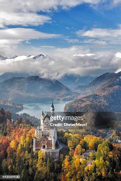 castillo de neuschwanstein, alemania - neuschwanstein castle fotografías e imágenes de stock