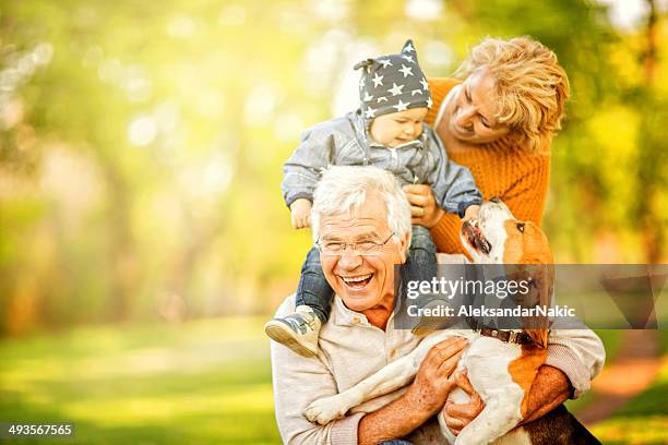 day out with grandma and grandpa - multi generational family with pet stock pictures, royalty-free photos & images