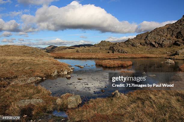 tarn on haystacks - haystacks lake district stock pictures, royalty-free photos & images