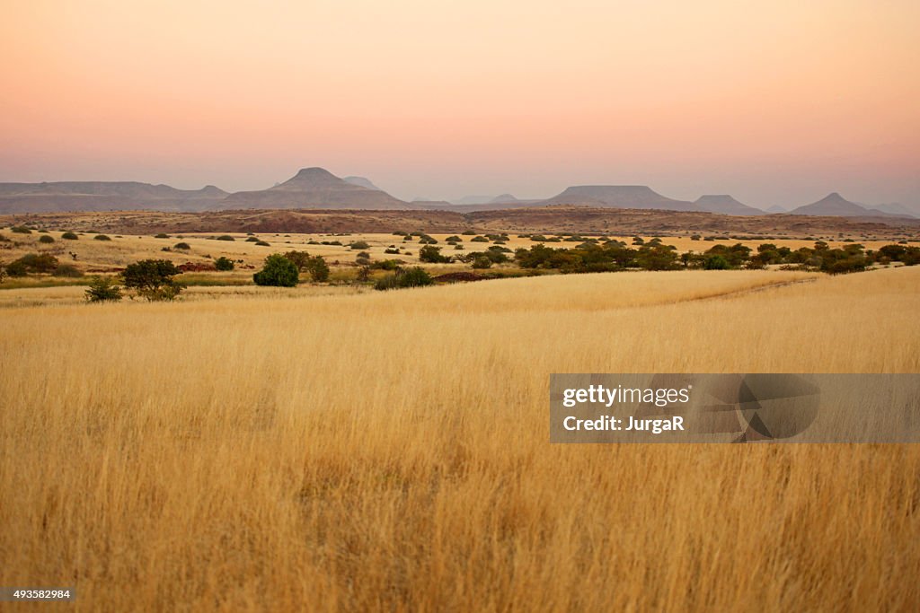 Wunderschöne nördliche Namibische Savannah Landschaft bei Sonnenuntergang