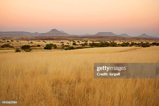 el hermoso norte de namibia savannah paisaje al atardecer - llanura fotografías e imágenes de stock