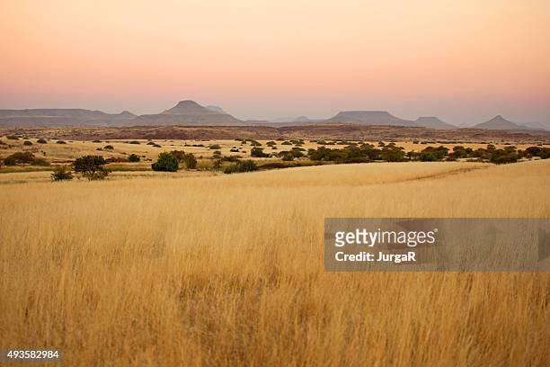 beautiful northern namibian savannah landscape at sunset - savannah stock pictures, royalty-free photos & images