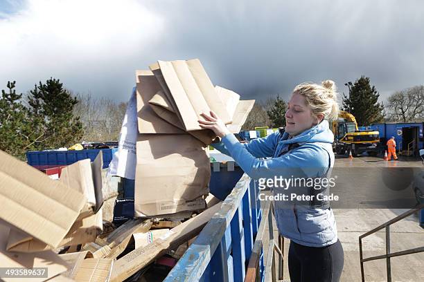 girl putting cardboard into bin at tip - slag heap stock pictures, royalty-free photos & images