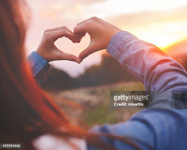 heart made with hands - heart shape in nature stock pictures, royalty-free photos & images