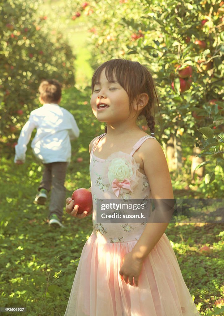 Young girl playing hide & seek at apple orchard.