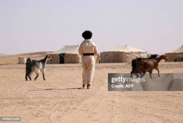 Displaced Yemeni child, who fled the northern Al-Jawf province due to fighting between Shiite Huthi rebels and forces loyal to Yemen's exiled...