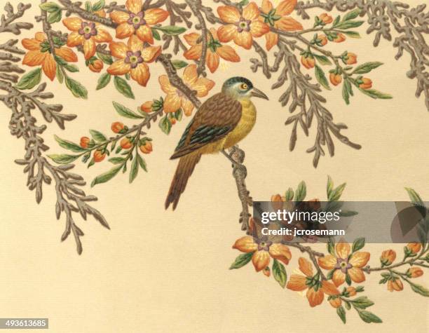 old chinese painting - birds and flowers stock illustrations