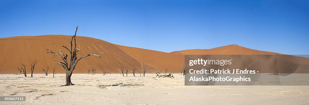 Panorama of Deadvlei in Namibia