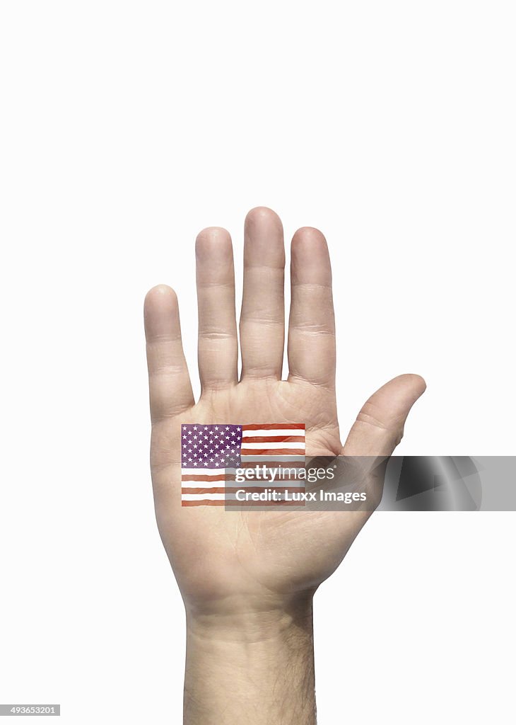 Male hand with American U.S.A flag on palm