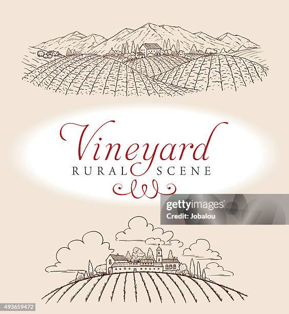 vineyard ländliches motiv - tal stock-grafiken, -clipart, -cartoons und -symbole