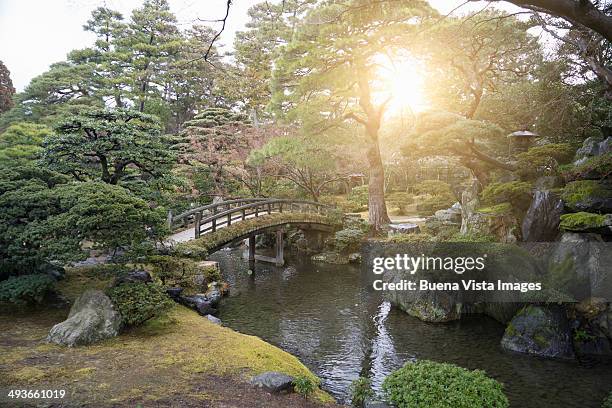 japan kyoto, emperor's gardens - japanischer garten stock-fotos und bilder