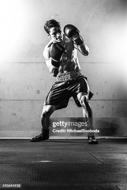 hispanic boxxer practicing - boxing stock pictures, royalty-free photos & images