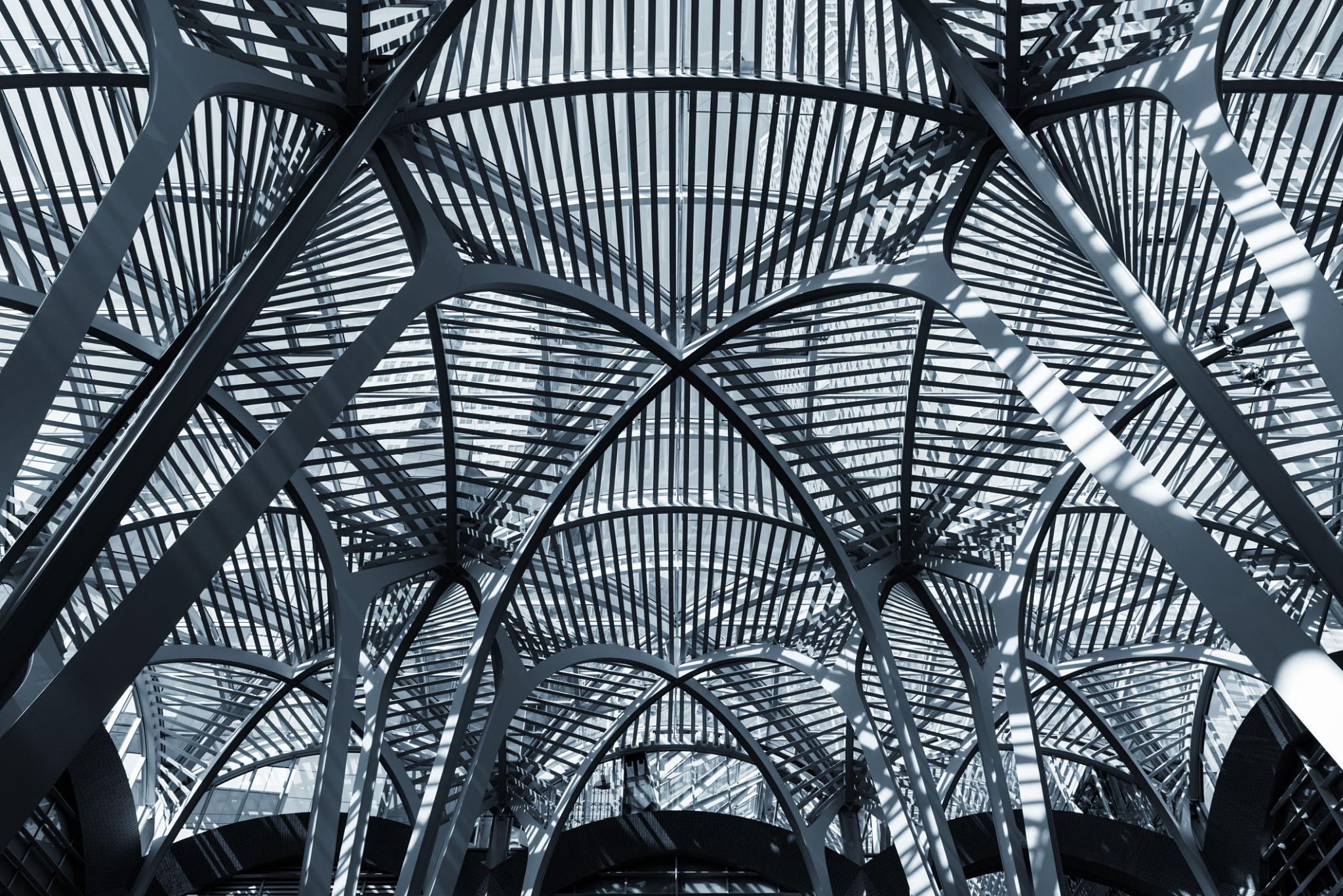 brookfield business