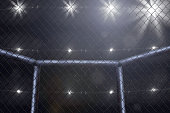 mma fighting stage side view under lights