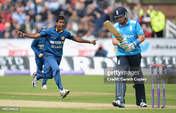 Nuwan Kulasekara of Sri Lanka celebrates dismissing Ian Bell of England during the 2nd Royal London One Day International match between England and...