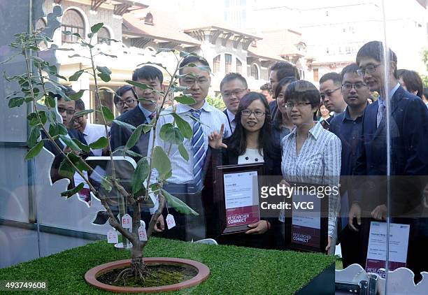 People look at the Newton Apple Tree grafted from Sir Isaac Newton's apple tree at Shanghai Association for Science and Technology on October 21,...