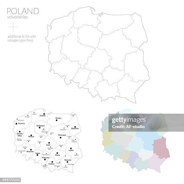 karte von polen - provinz malopolska stock-grafiken, -clipart, -cartoons und -symbole