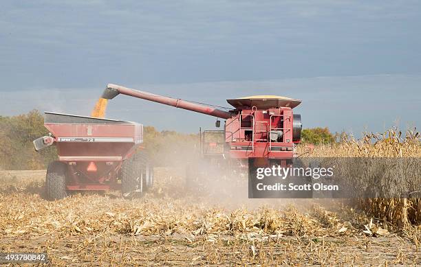 Rick Wirt and his daughte rKrista Kempke harvest corn on October 22, 2015 near Burlington, Iowa. Wirt and his daughter farm more than 2,000 acres in...