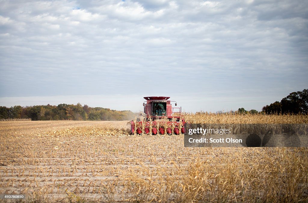 Iowa Farmers Harvest Crops As Colder Weather Brings Season's End Near