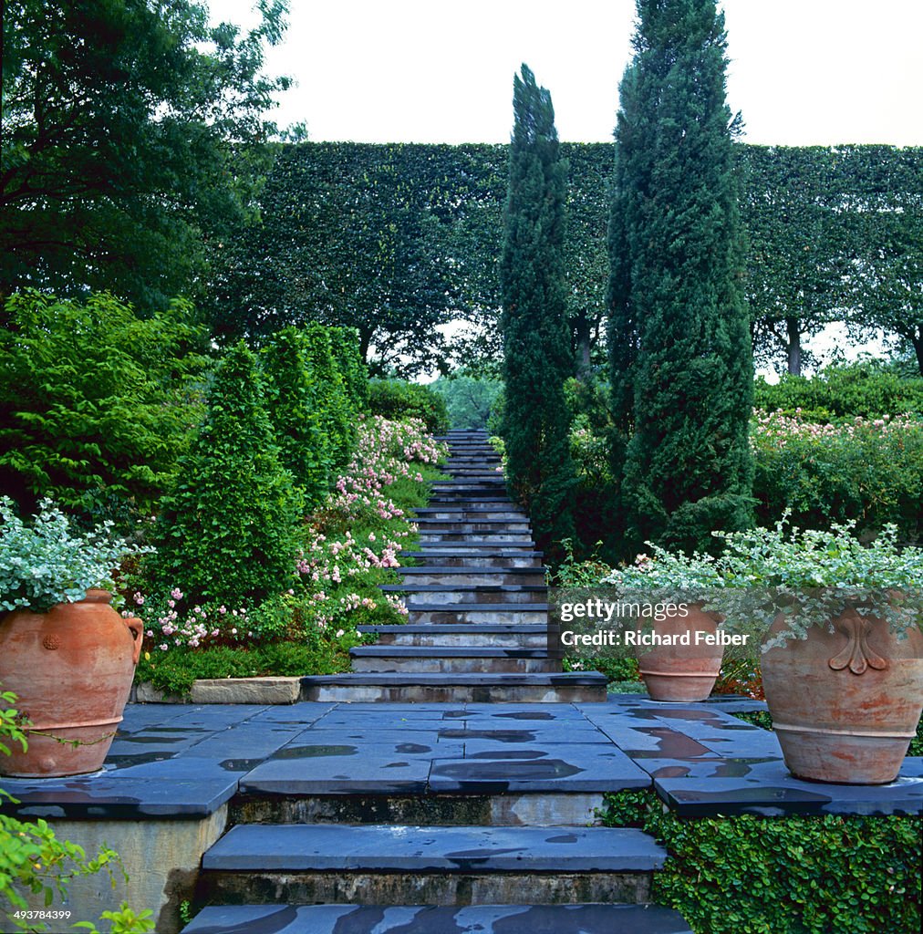 Blue Stone Patio and Steps/roses