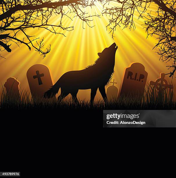werewolf - howling wolf stock illustrations