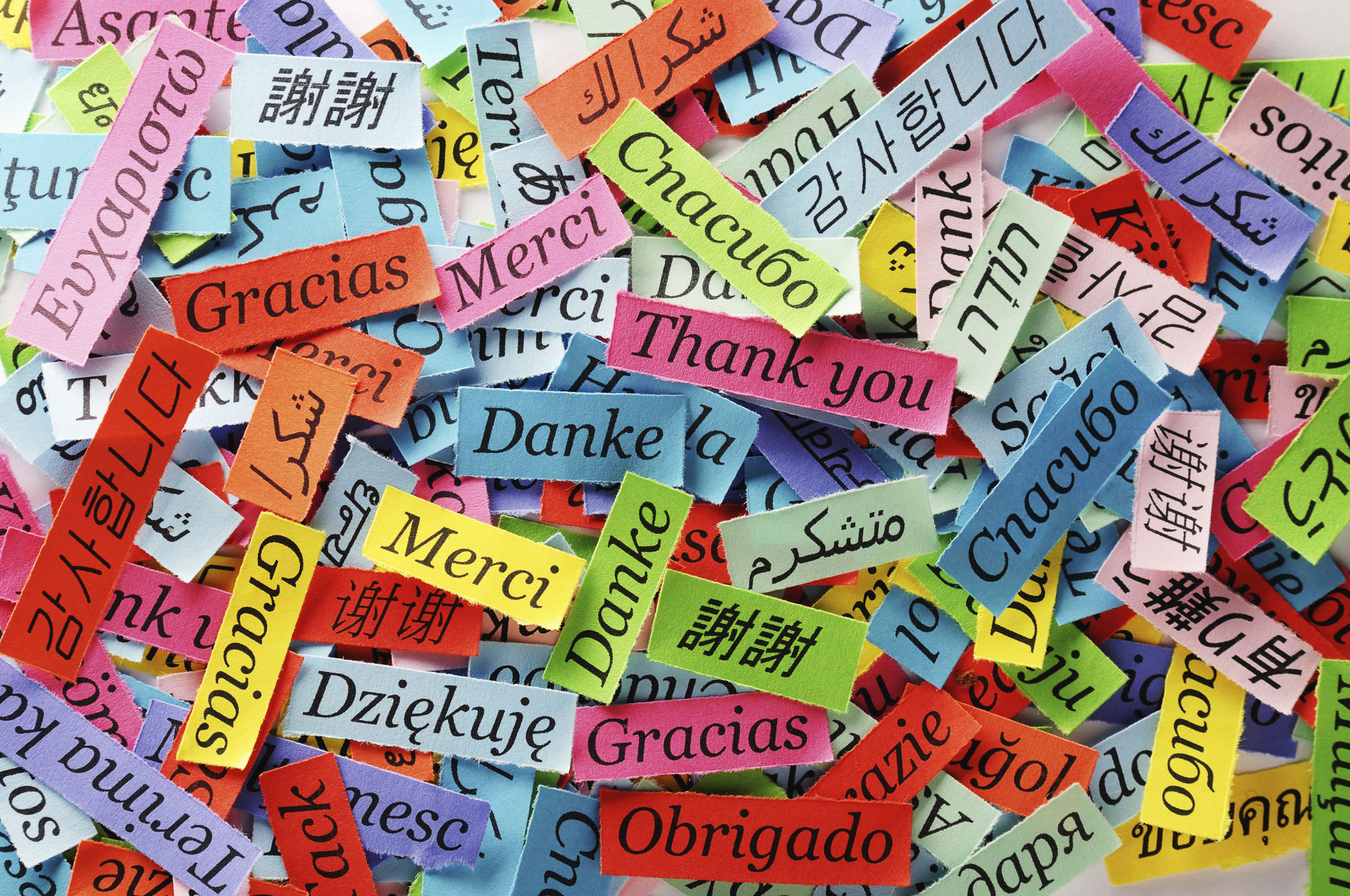 language learning commitment