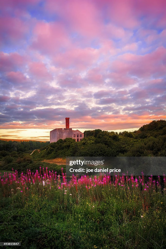 Aberthaw Nature Reserve, Barry, Wales