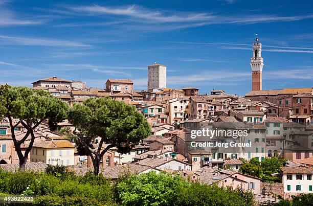 siena - siena italië stockfoto's en -beelden