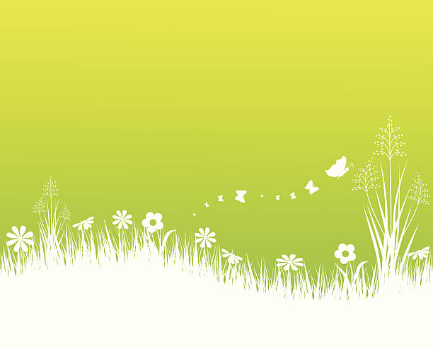 spring landscape - spring background stock illustrations