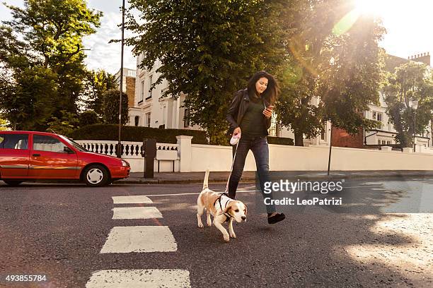 happy woman walking with dog in early sunday morning - happy lady walking dog stockfoto's en -beelden
