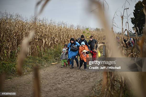 Migrants are escorted through fields by police as they are walked from the village of Rigonce to Brezice refugee camp on October 23, 2015 in...