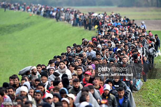 Migrants are escorted through fields by police as they are walked from the village of Rigonce to Brezice refugee camp on October 23, 2015 in...