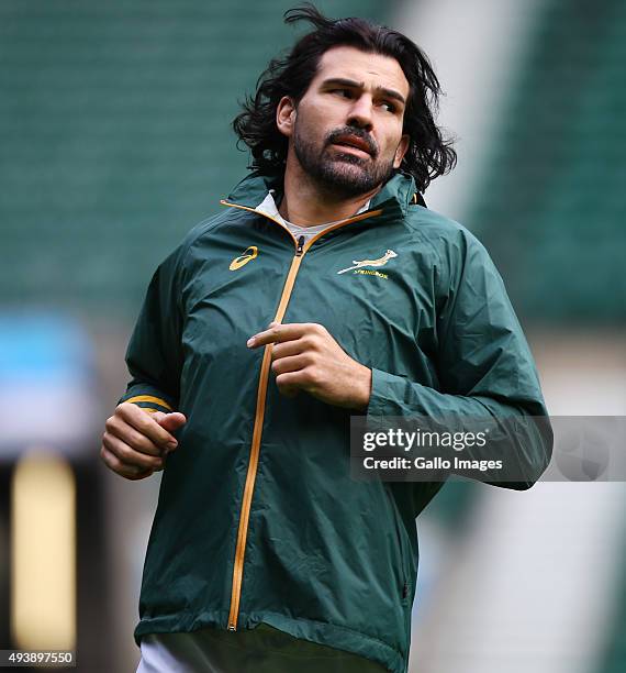 Matfield South African Springbok Victor Matfield Photos and Premium High Res ...